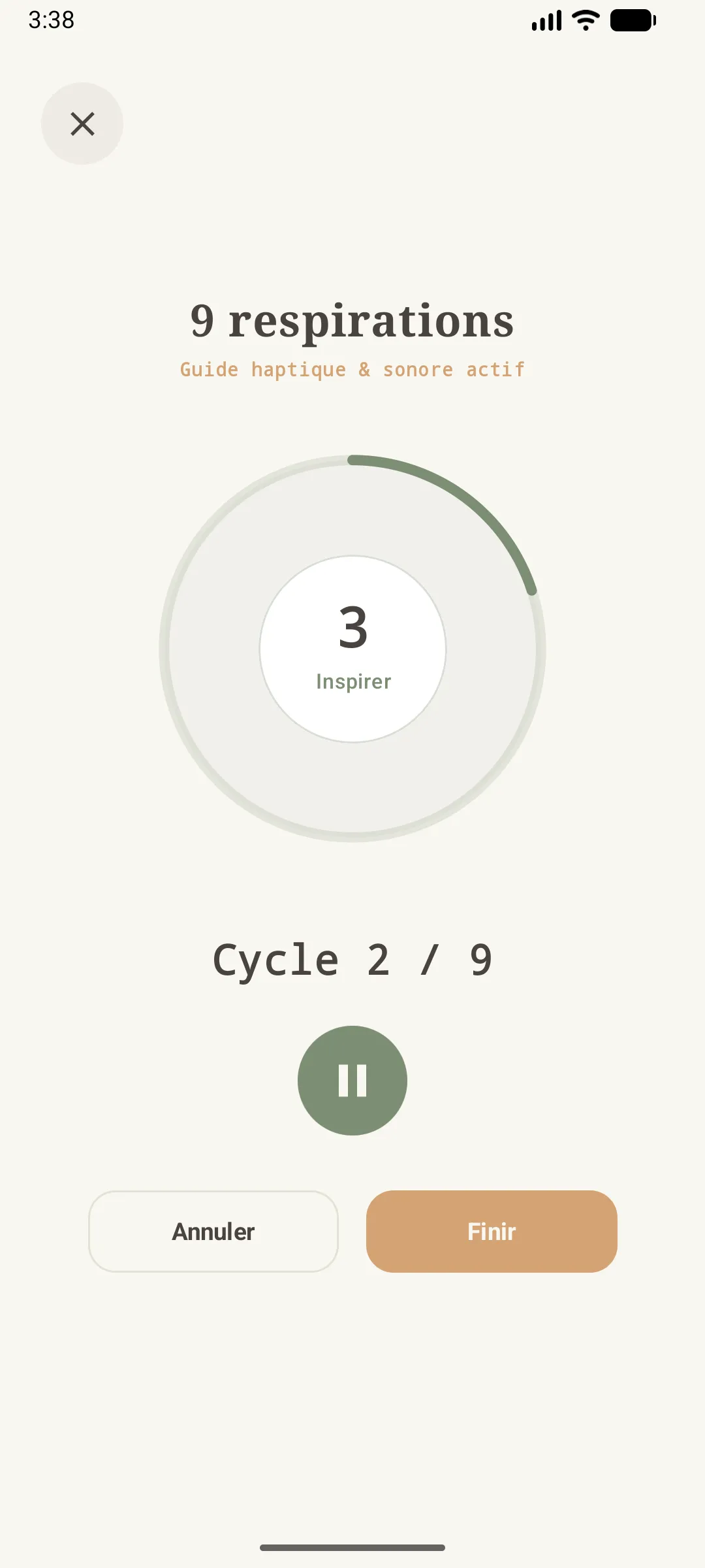 phase Inspirer d'une séance de respiration